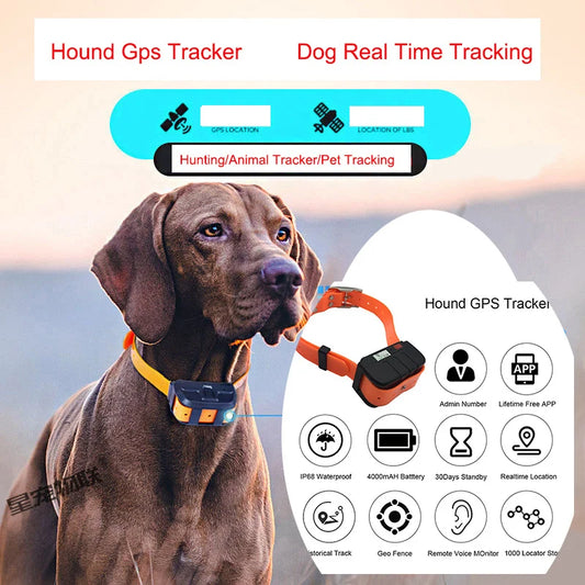 Pet GPS Tracking Collar: Real-Time Locator for Dogs, Waterproof IP67