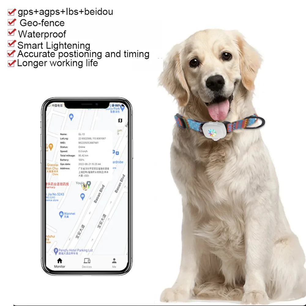 Mini collier de suivi GPS réglable pour chat,chien , localisateur en temps réel.