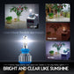 Car Headlight H7 H4 LED H8/H11 HB3/9005 HB4/9006 H1 H3 9012 H13 9004 9007  Auto Bulb Headlamp 6000K Light