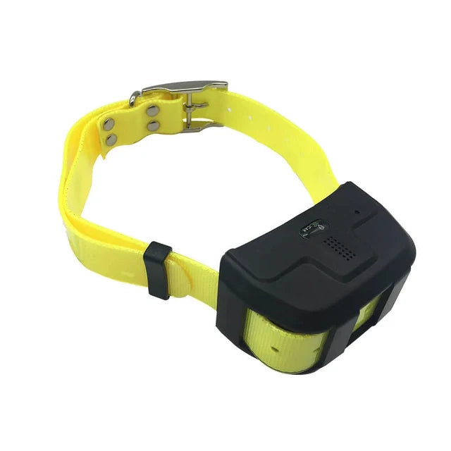 Pet GPS Tracking Collar: Real-Time Locator for Dogs, Waterproof IP67