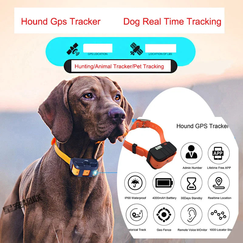 Pet GPS Tracking Collar: Real-Time Locator for Dogs, Waterproof IP67