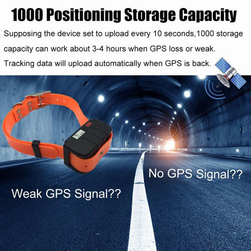 Pet GPS Tracking Collar: Real-Time Locator for Dogs, Waterproof IP67